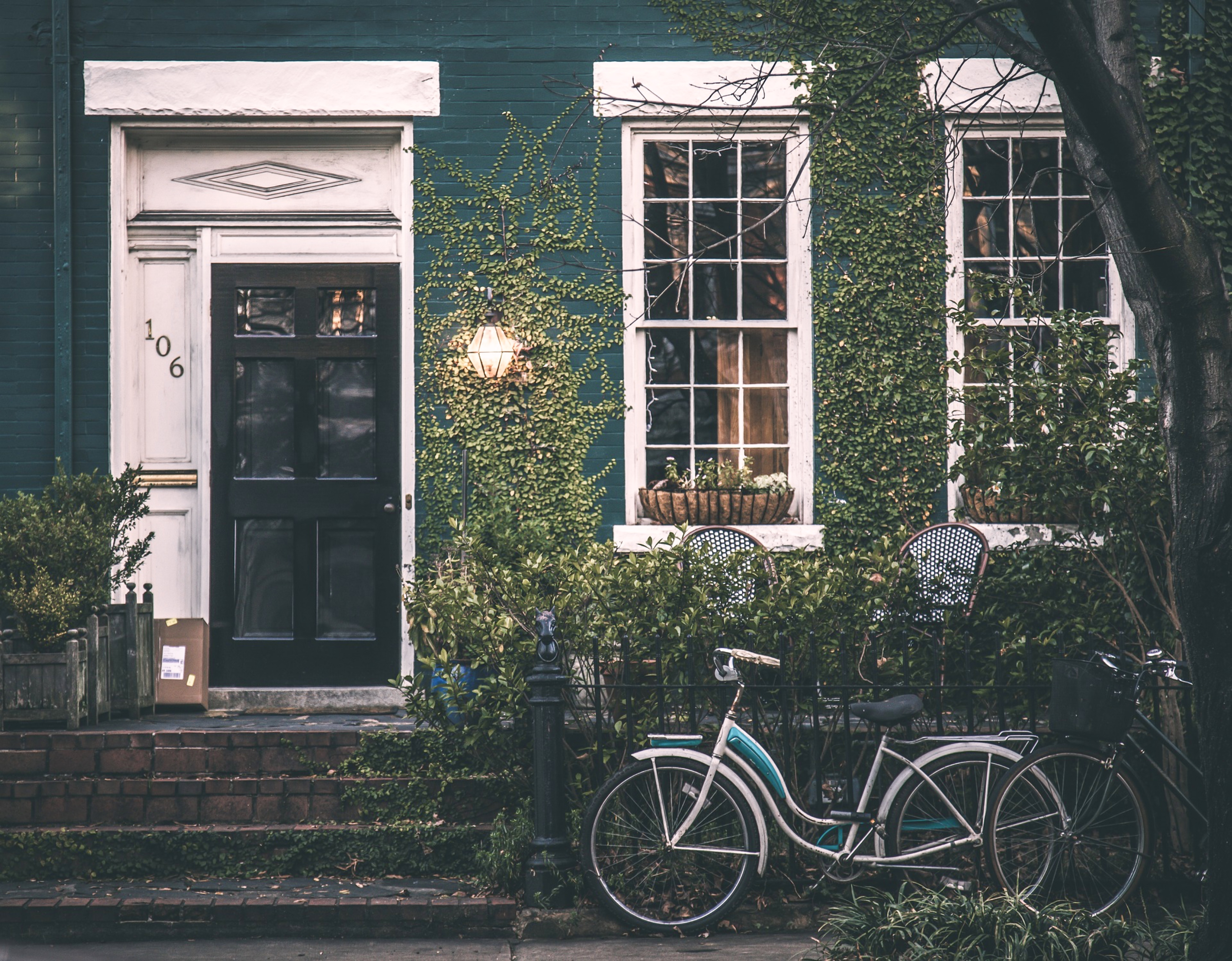 A Home Like Eden IMG 3651 - A Home Like Eden