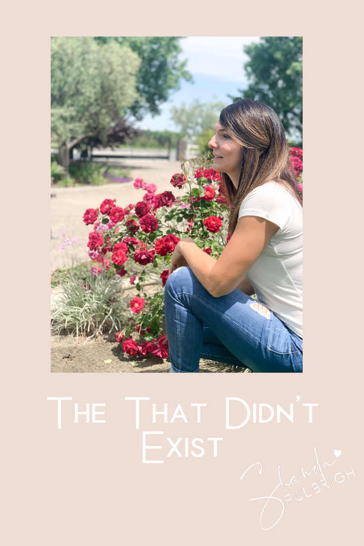 Copy of Shanda Fulbright Pinterest Templates 20 - The Year That Didn't Exist