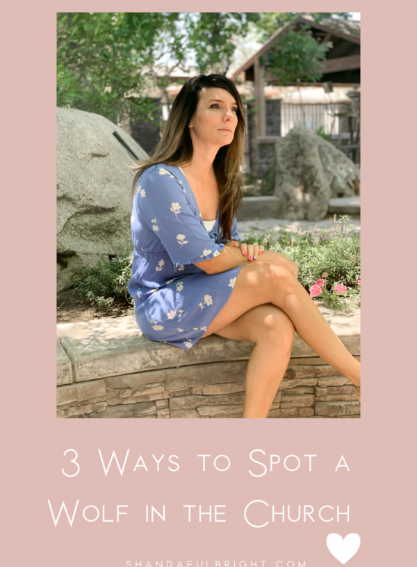 Three Ways to Spot a Wolf in the Church